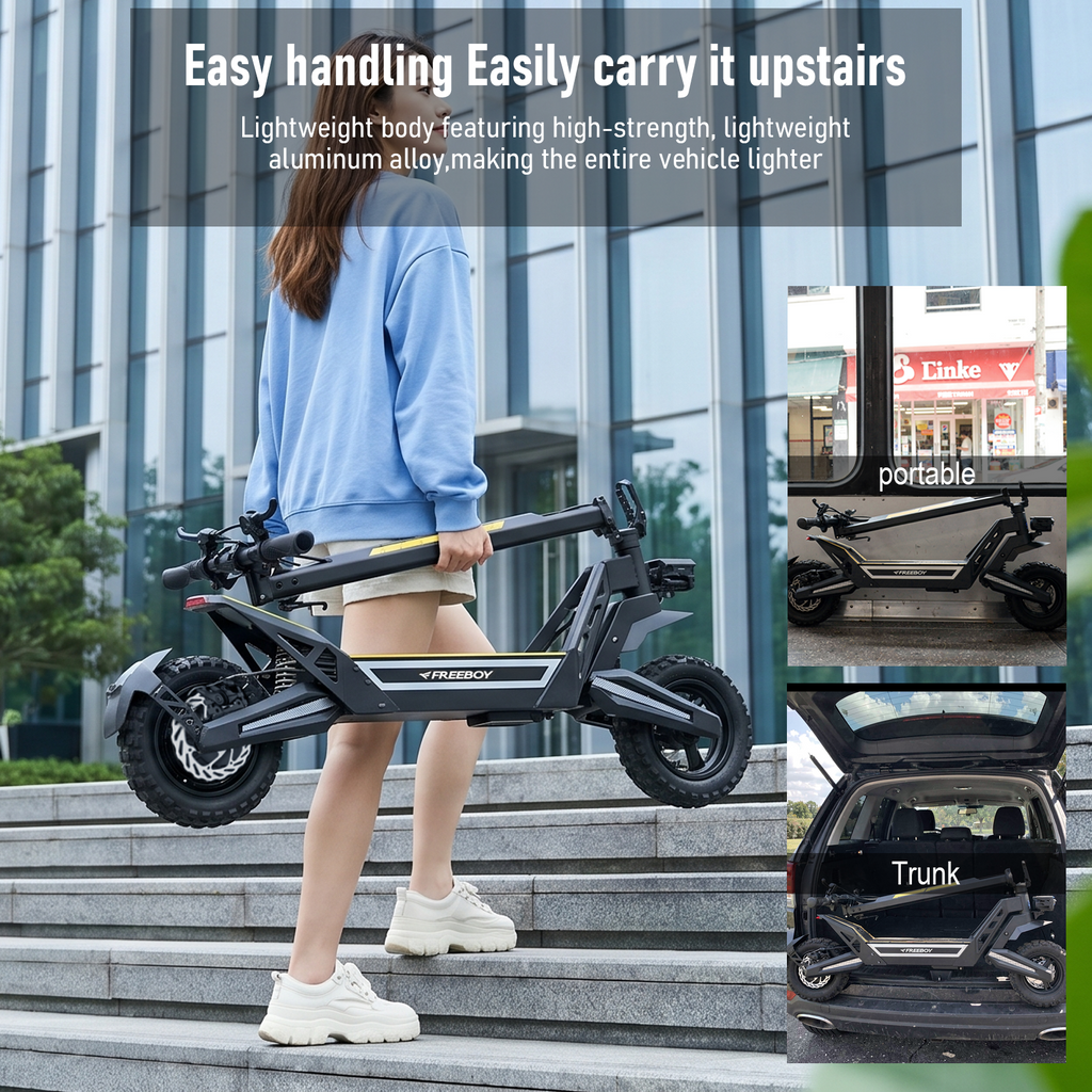 FREEBOY J2 Electric Scooter