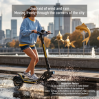 FREEBOY J2 Electric Scooter