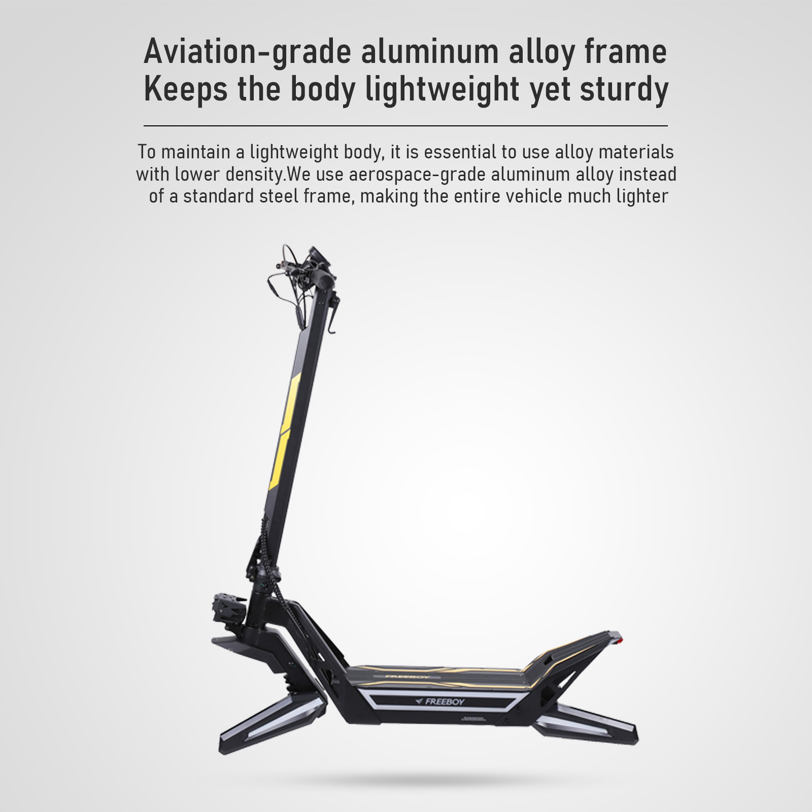 FREEBOY J2 Electric Scooter
