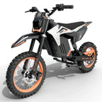 FREEBOY Electric Dirt Bike Y88